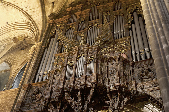 04_Catedral Barcelona Gotico - Orgao