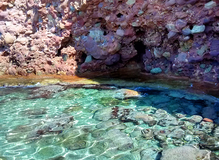 09b - Menorca Baleares Spain Cala Morell Coral Sea