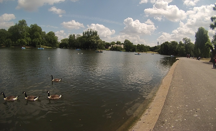 Regent-Park-Lake-London-londres