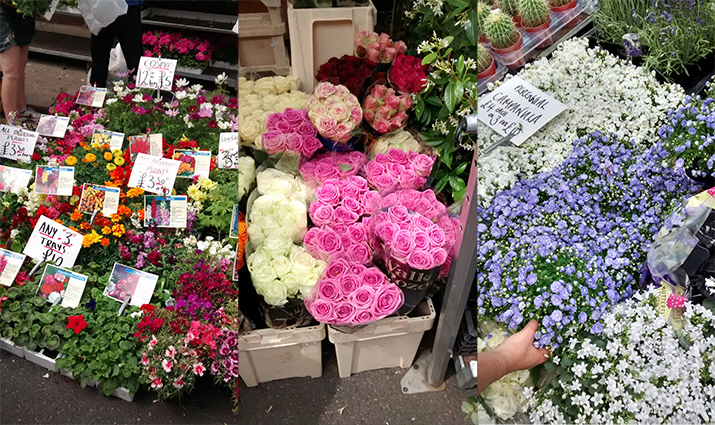 05 - Columbia Road Flower Market London Londres